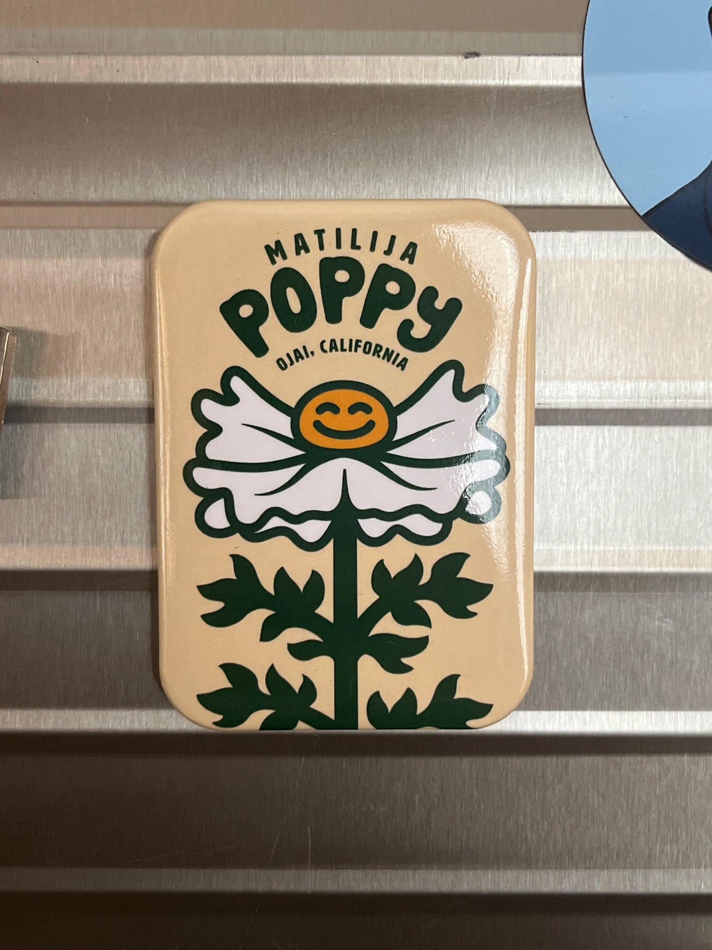 Matilija Poppy Magnet