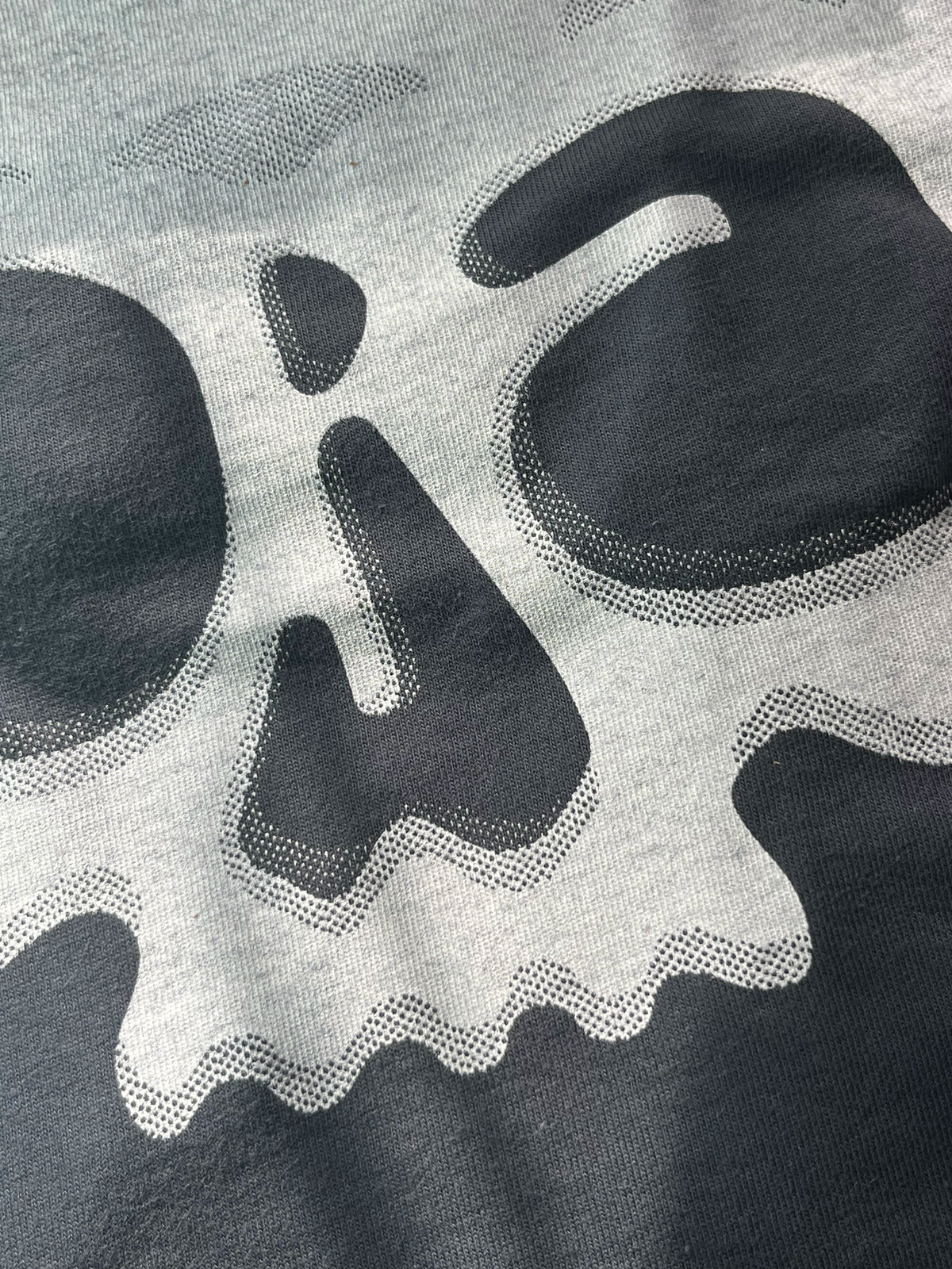 Ojai Skull T-Shirt
